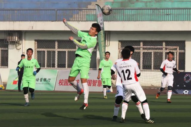 龙8头号玩家业务补充图